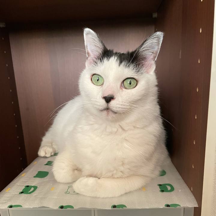 2425a23a d775 4109 9c22 88ce9e3d8659 1606028408085