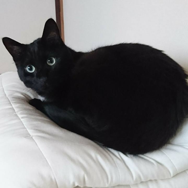 2425ae32 1757 4149 877a 57e34d93bf60 1571539406731