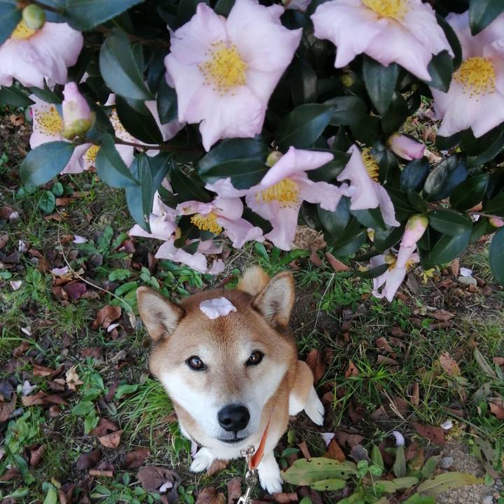 2425b71a c7c7 49ef 9812 22f33b151981 1668851101659