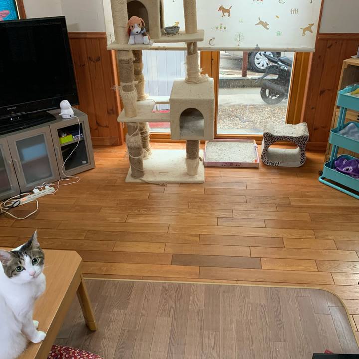 2425c42f 6824 4da3 9a80 237f58ef5f0b 1621460491156