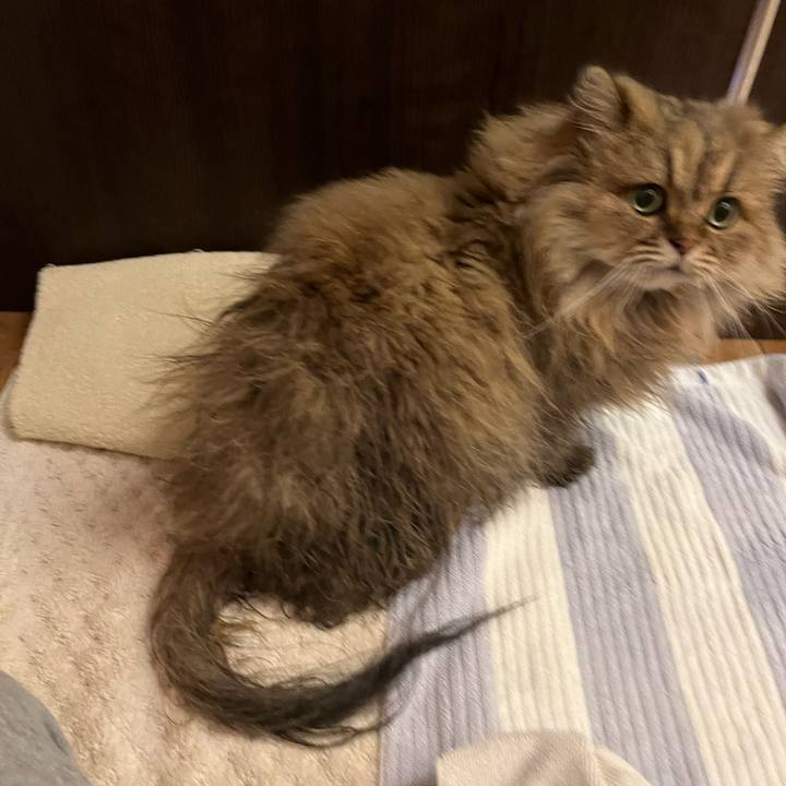 2425d4bf e6e0 44e8 b8b0 0d899fcacf1e 1638452866182