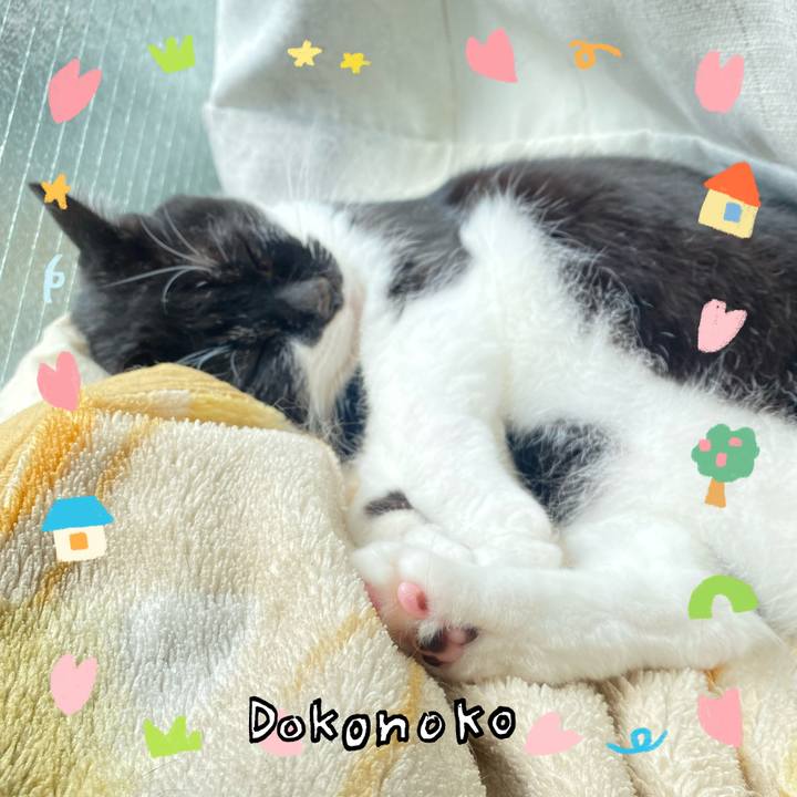 2425e368 6c89 4982 a4a5 959548df70fd 1741489009109