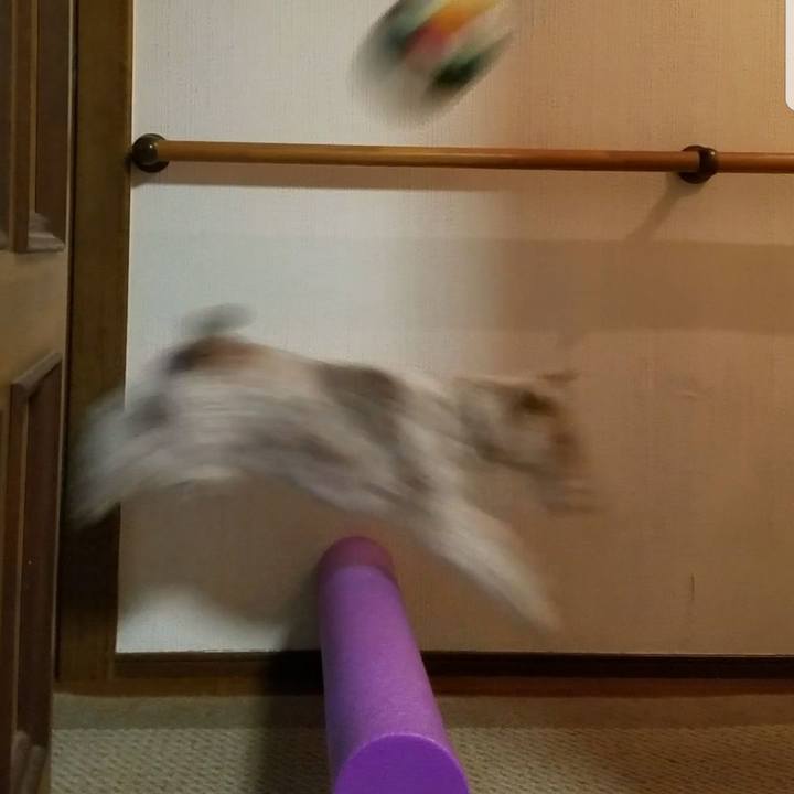 2426213e 58f0 4871 9e9f 2cdd4d81d60e 1524579240726