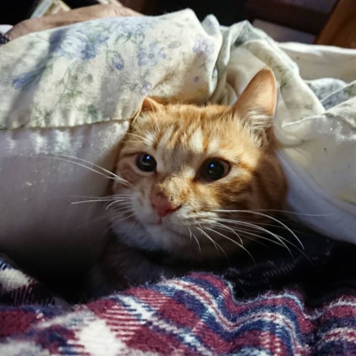 24262234 7778 4340 b310 52641830bbab 1648587694915