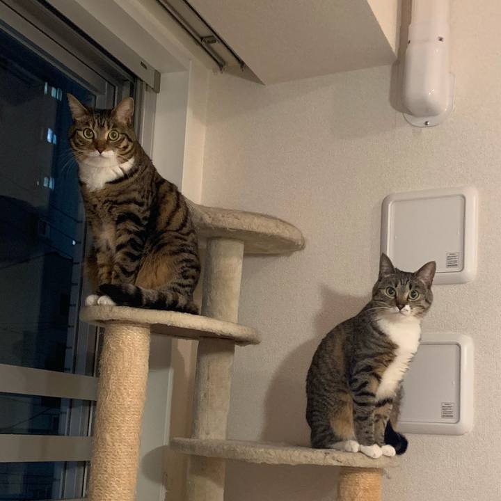 242655f0 8013 4ef5 b31b 83a35a248824 1604923399652