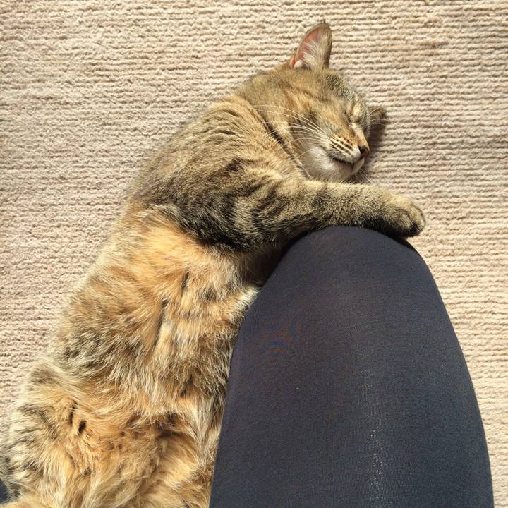 24269b9e c6c7 4ec6 a29f 0b2152780ec7 1516513574031