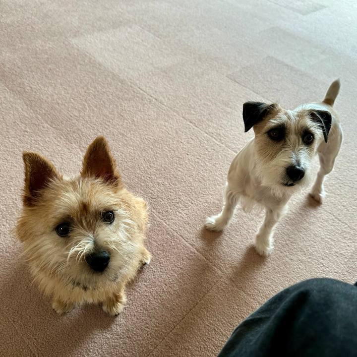 24269e2c ee75 41a1 8969 d261ecf2e3d0 1713676525744