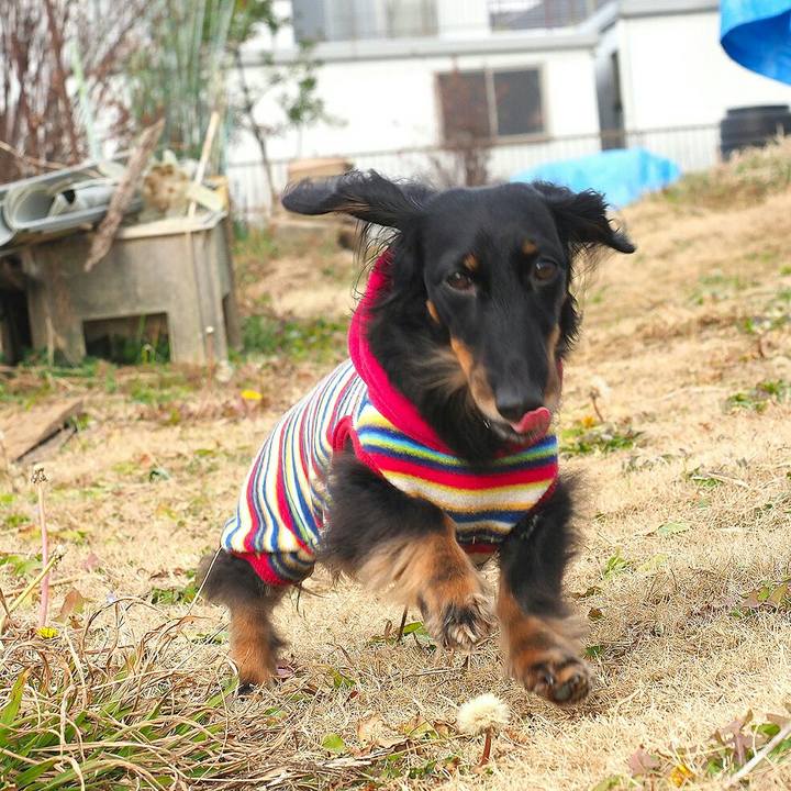 242701a6 43b4 444d 8973 16c5b95387da 1579670188081