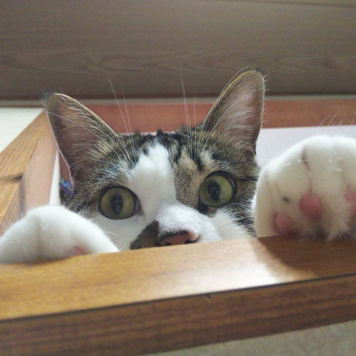 24270e17 5c7c 4b09 81dc 3ad36b2d15ad 1654301002199