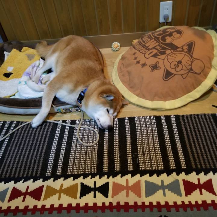 24272e9f 002e 4ce2 807e 4bfac963e13f 1573120737698