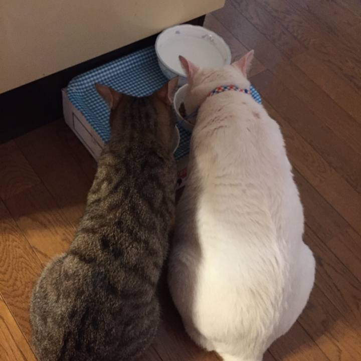 242742b9 8e16 45a7 ab68 21b21c297e30 1569724219387