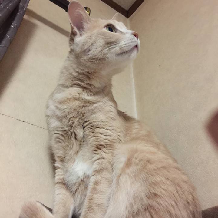 24274d90 7fcb 4483 8c2b 28aeb5bf4510 1544443053527