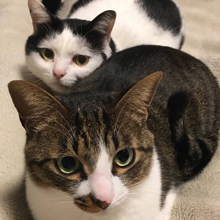 2427593f a5b7 4ff6 afb5 5fa2e1f1dc28 1582547451891