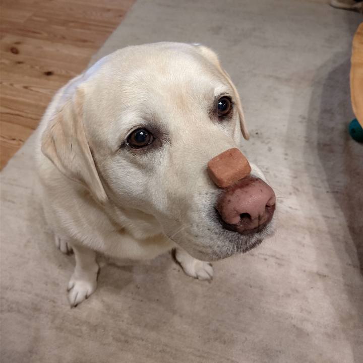 24276ca8 3f0c 45bc ba0f 6f63991d7884 1692807248443