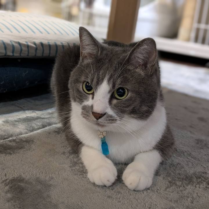 24279ed7 e0f9 4c0c a4ec 1dc114985b62 1726179920583