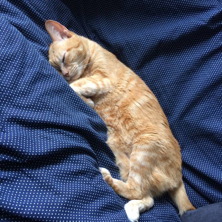 24279fef 7070 4444 ad31 2951b4f85737 1514847465786