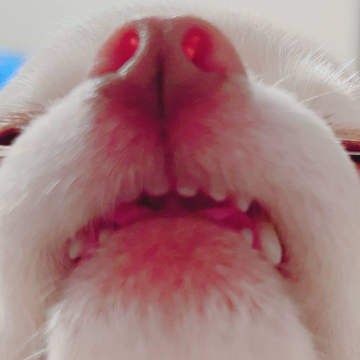 2427a479 3af9 4ee0 ba03 e83a1c54a122 1725404973111