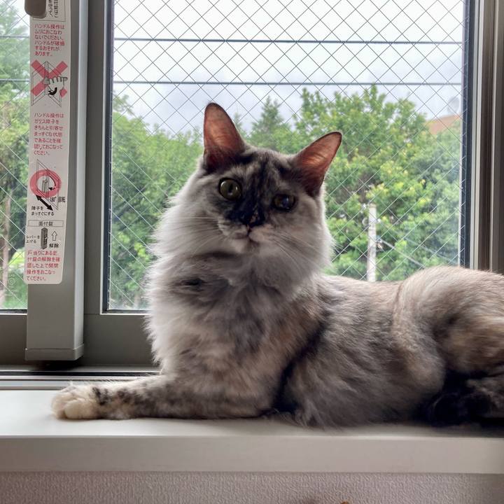 2427b611 d635 4629 8f09 b5767dc45bb1 1720921283432