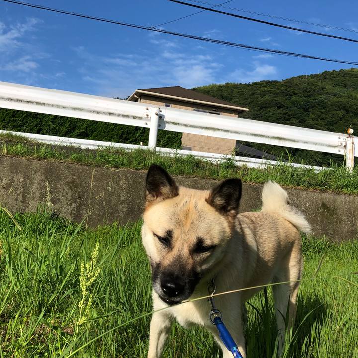 2427c077 ea6b 4546 8dfa 6fa98b96f7d3 1531221142987