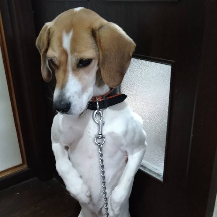 2427c680 e413 48a1 af38 7db16c7f98c7 1643117798599