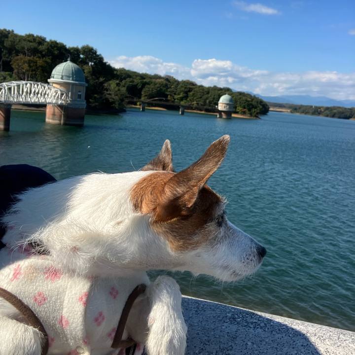 2427cf25 75c0 4850 8ea4 533fa158d067 1667089707203