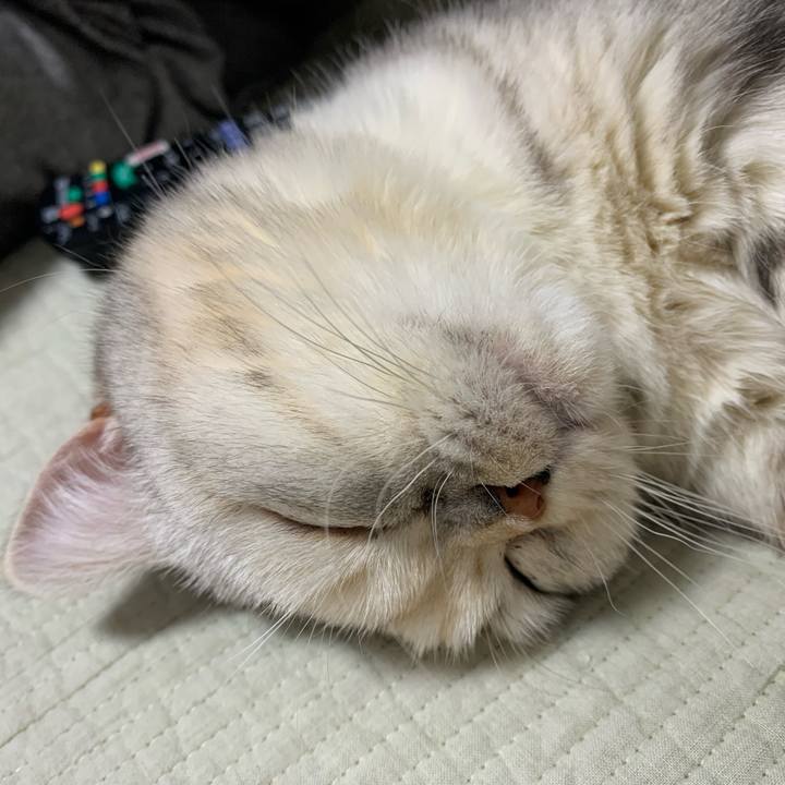 2427de60 34ce 4275 9835 42ca09646dc8 1711980588304