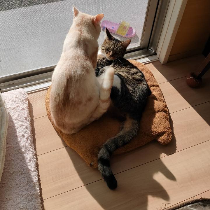 24280109 9764 4bb5 a32f 1c03f97f3113 1667956169446