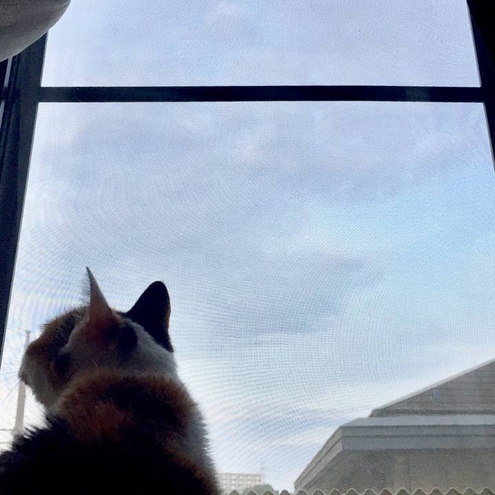 24280255 221a 4468 a22a eec2fdb977b5 1533980460559