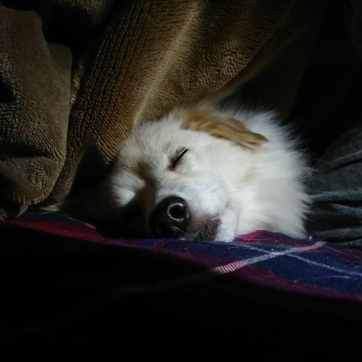 242855e1 f60e 4128 afd3 c54c3d23e1b5 1511988332498