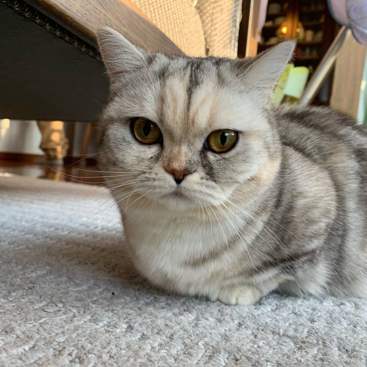 242861d1 1c9a 4abf a2b5 781621e4eb7e 1706311841780