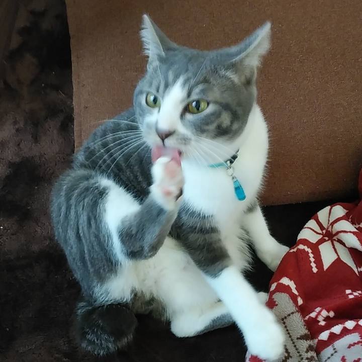 242866d0 b109 4d6b b4bb 77370c467ef3 1582069842391