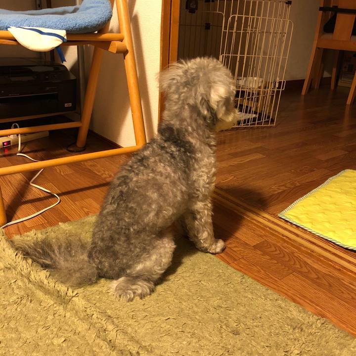 24286c22 45ef 42d1 a9cd 4caf82193c35 1533389510693