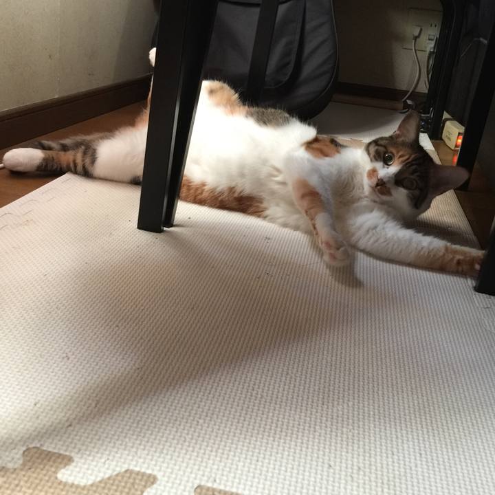 242871b4 d9db 4673 b04d 5a8dbc1e5445 1697366814693