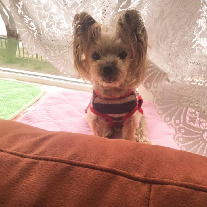 2428c59b 4e0c 4b75 a903 a11115b272fd 1618737914530