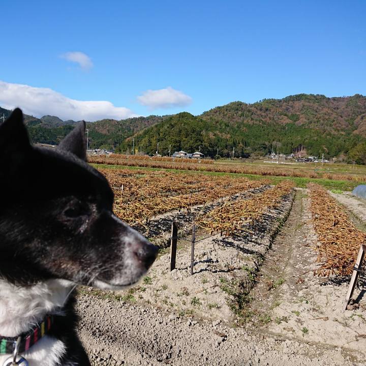 2428d0a6 93a4 417e ac12 42ad02b4a451 1606627015003