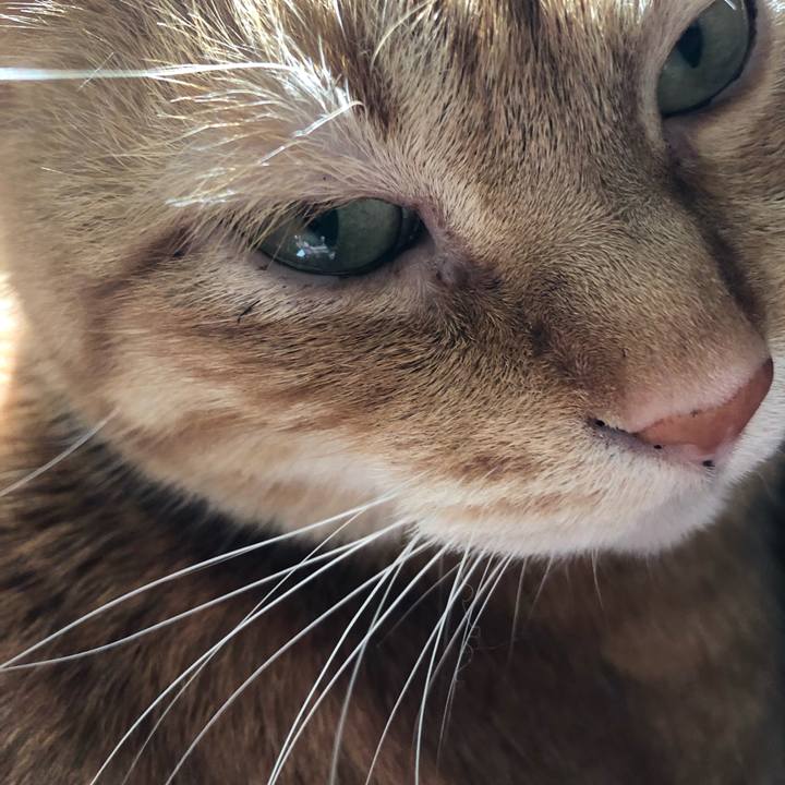 2428db8e b230 4f4c be87 220cf8d7ad03 1651269664832