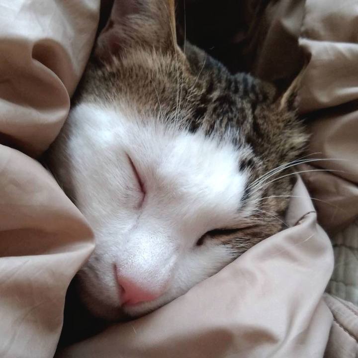 2428e02c c5e4 42cc 95ce 7d5ec49e372e 1707544176862