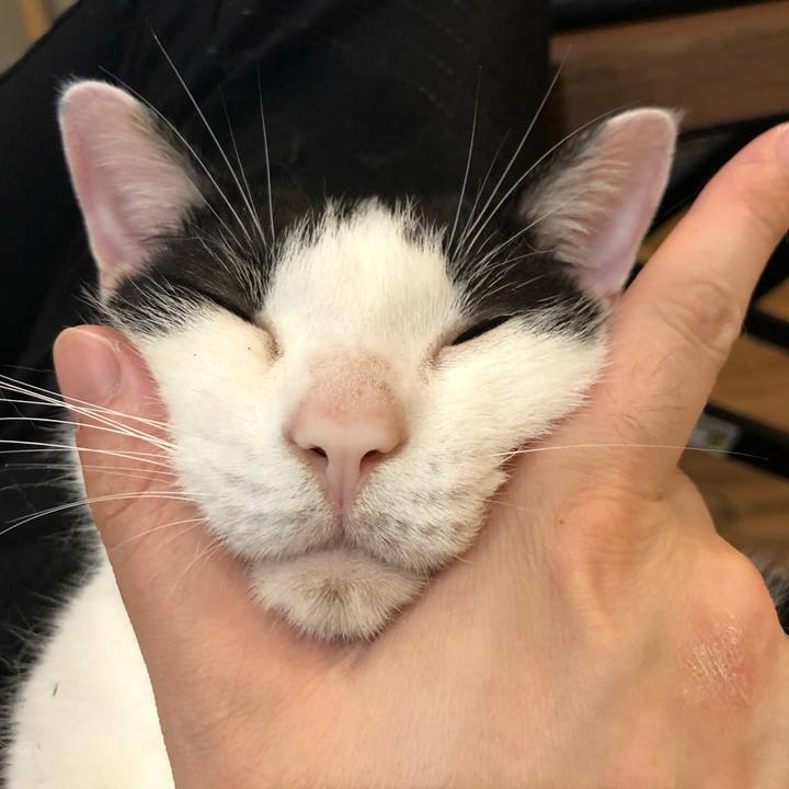 2428ec3b 170c 4008 931b 09d3b670195a 1623800894077