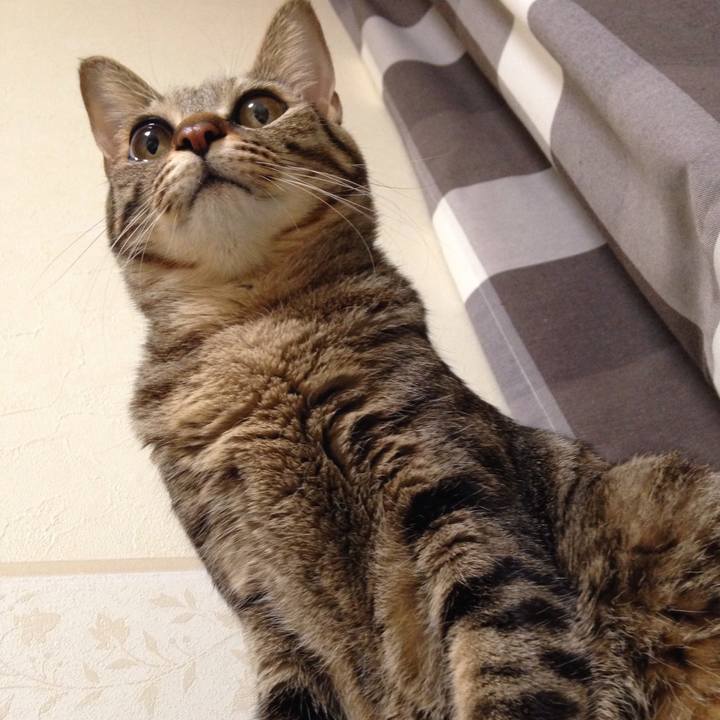 2428f6c5 bb81 4a6f 98b0 b890602b0698 1512229261268