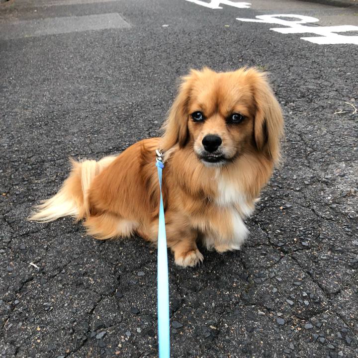 2428f97e 4a67 408f 85e2 5c30c939d1a1 1529187572381