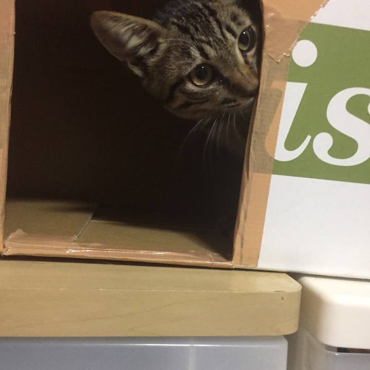 2428fc26 f9e8 411a 92fd ad790c5ce7c1 1537366926478