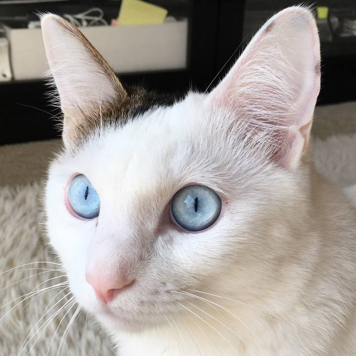 2429097c e347 42d1 8758 8fdba303a829 1520672509311