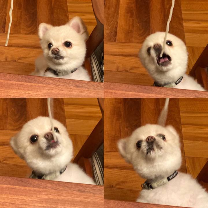 24293429 f3b3 461e 866c c885c00a966f 1628079015201