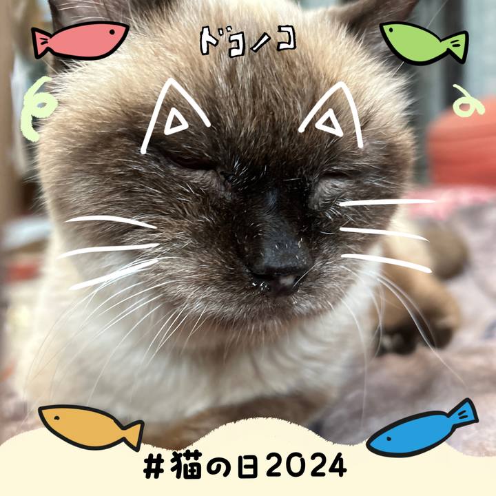 2429434b 66e2 44ed ab3b 171c9af5b2b7 1708564366972