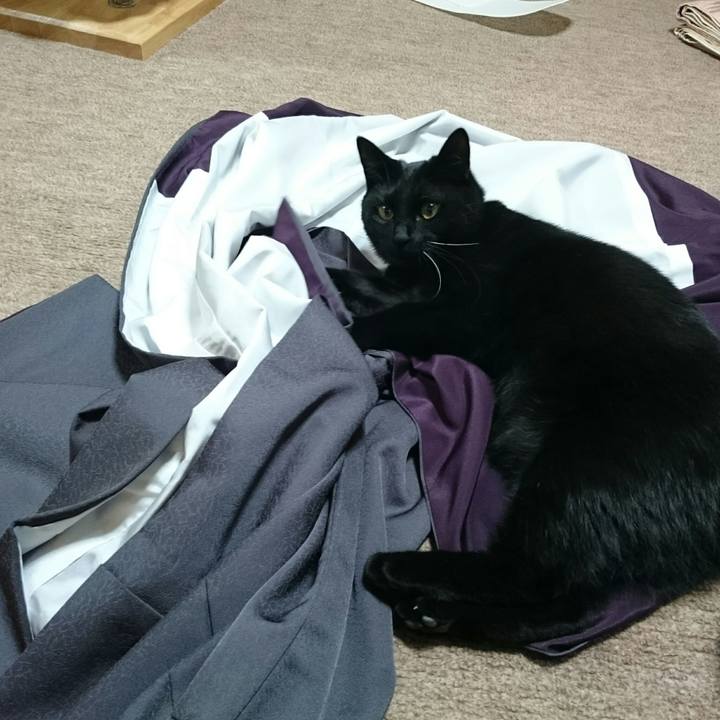 2429a401 67f2 4309 bc3e cd2dd9532f3d 1514943643570