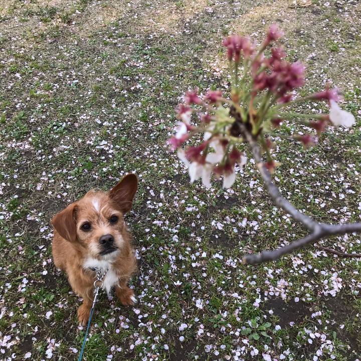 2429c75c 5b14 47f8 832d 69b444e20e46 1585816466530