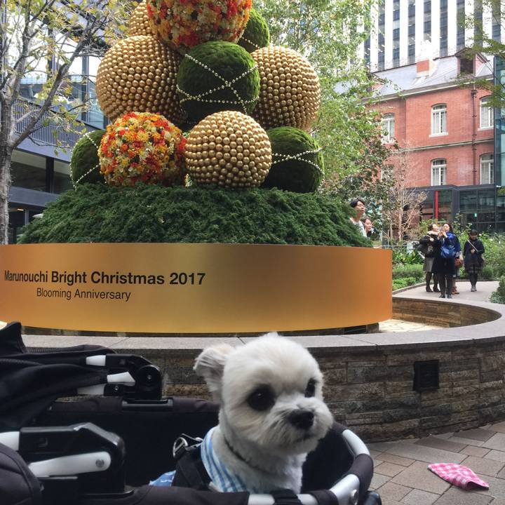 2429d1d5 6a98 4b8d a946 ae53d7c79d07 1510397088596