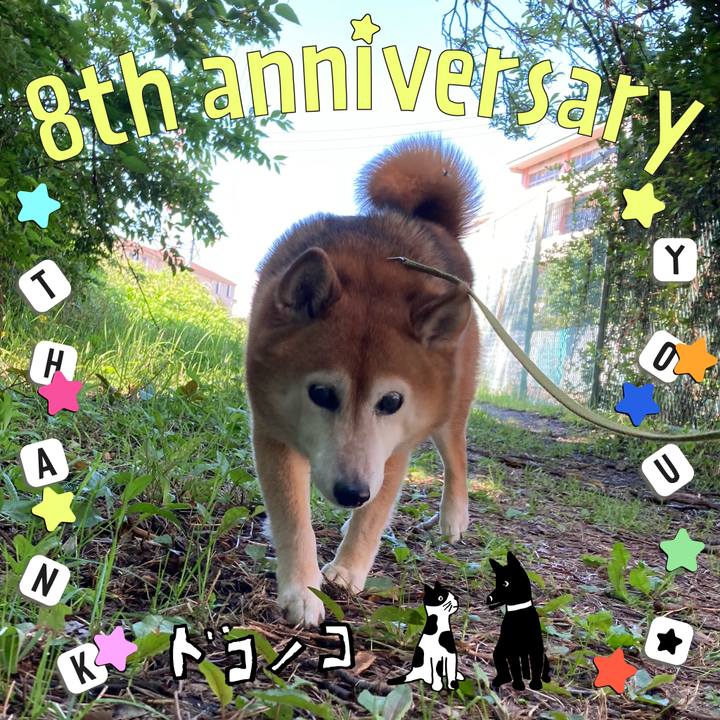 242a3b59 4a3f 48aa 9fd6 d06cb660f0dd 1717577062980