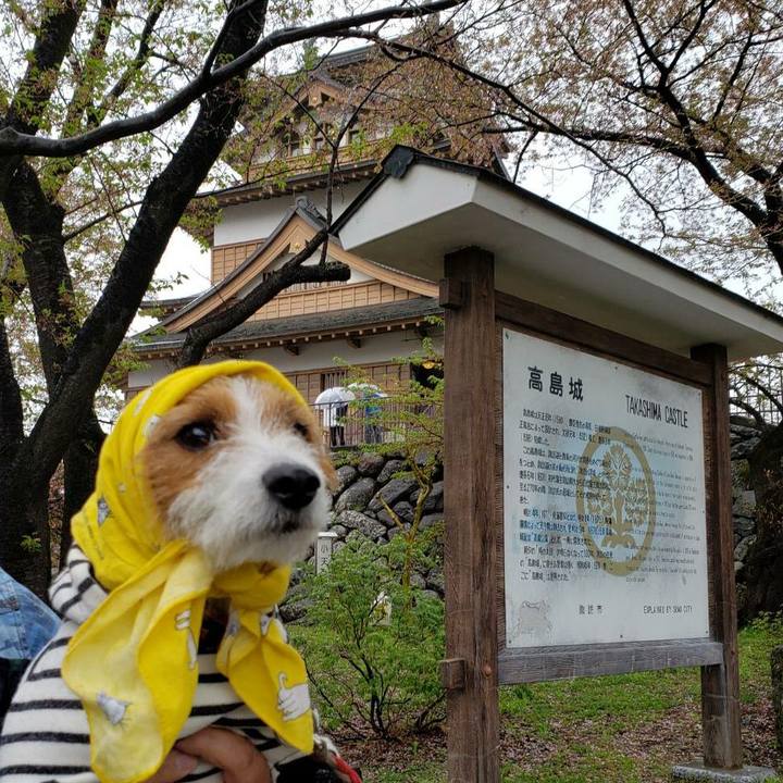 242a815c 61d1 4ec8 b26a 665a482fea6d 1556696088420