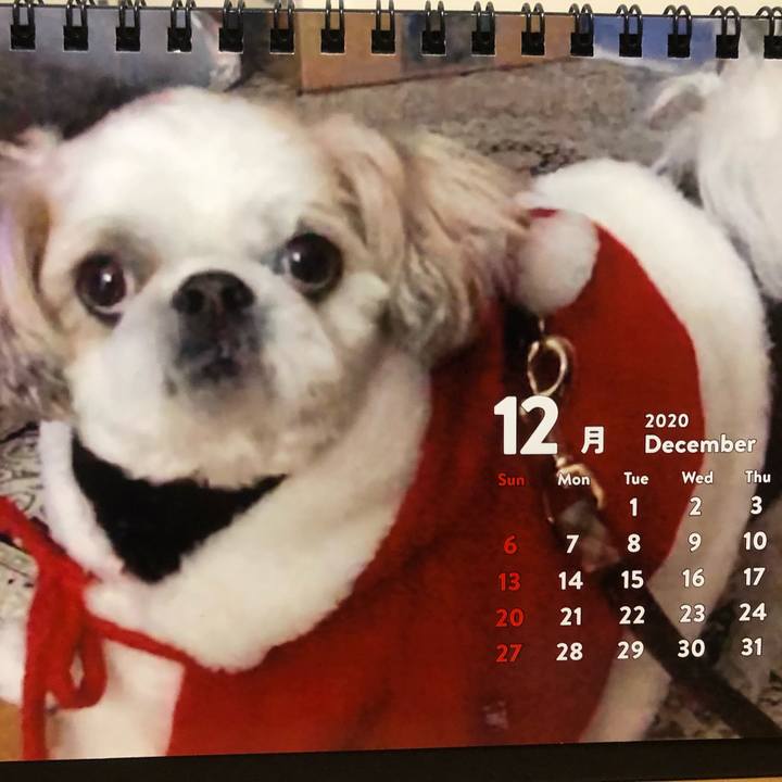 242aa769 a14d 448c b550 486e117b31e1 1606859602782